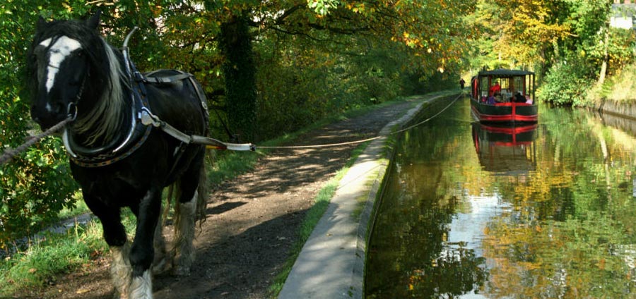 Horse-drawn Canal Boats